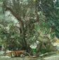 OILVE GROVE IN NORTHERN CORFU OIL ON CANVAS 50X50 2018 by Nikos Stratakis