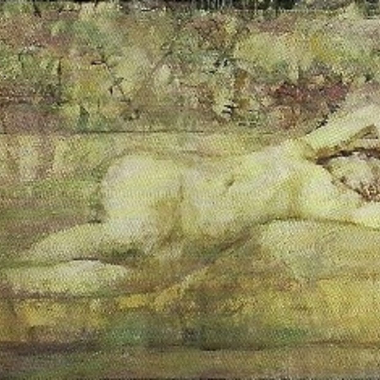 SLEEPING NUDE Oil on canvas 120x160 1993 by Nikos Stratakis